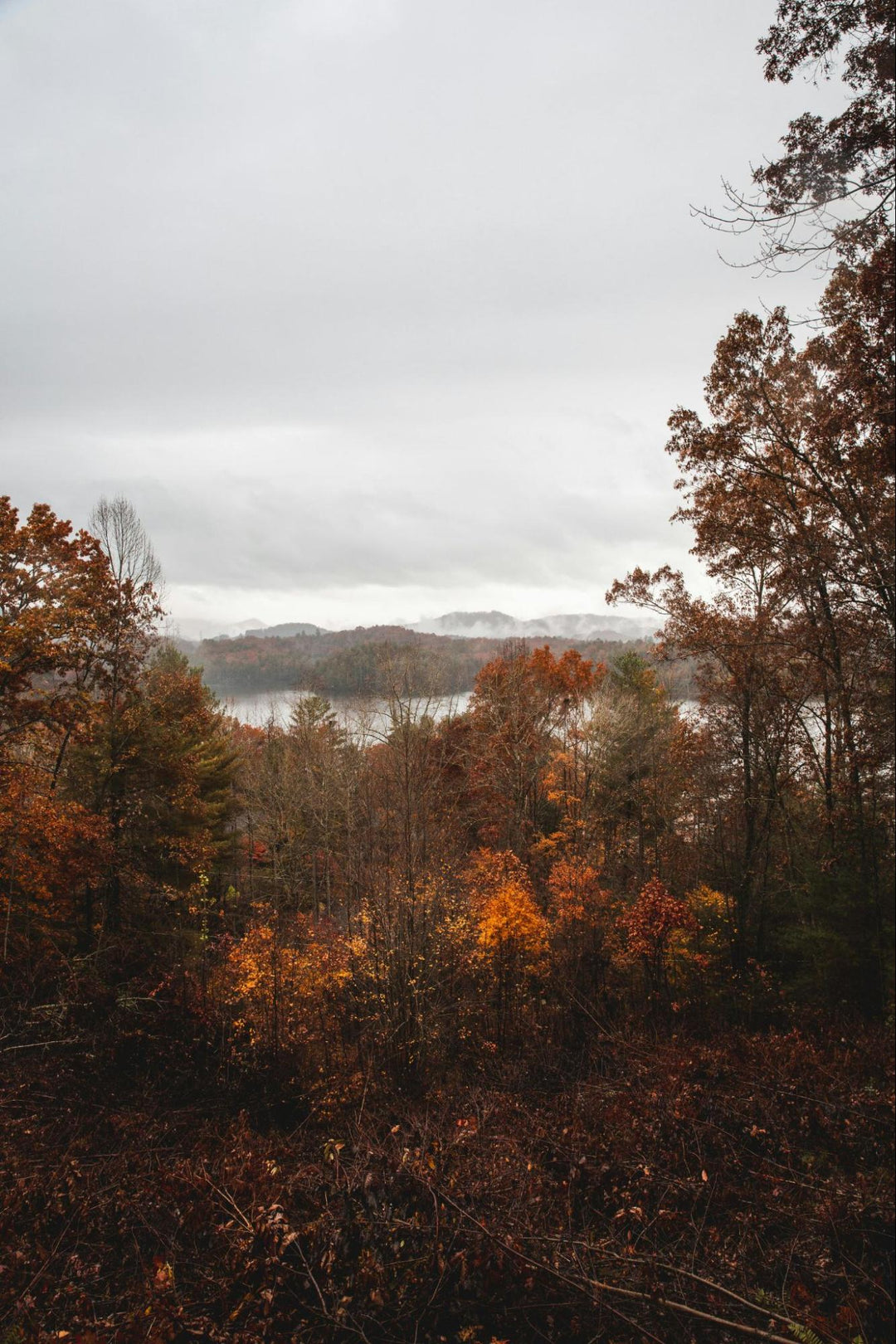 Appalachian Mountain Trail