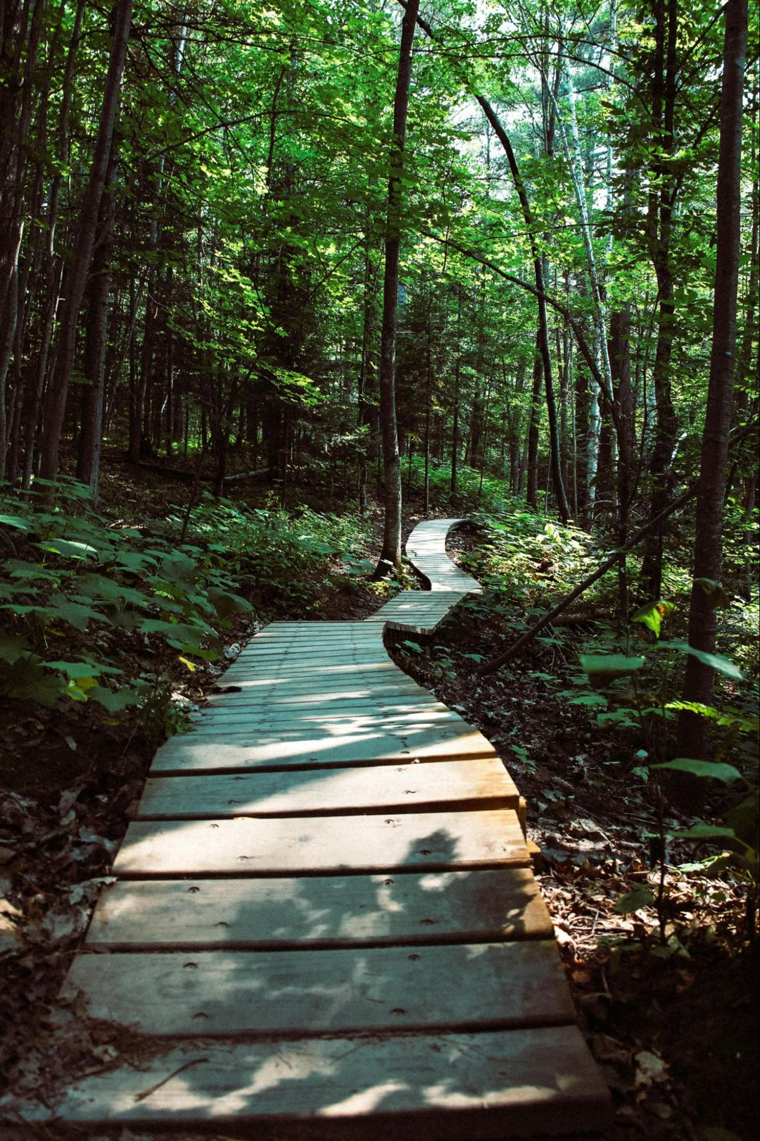 Trail in Wisconsin